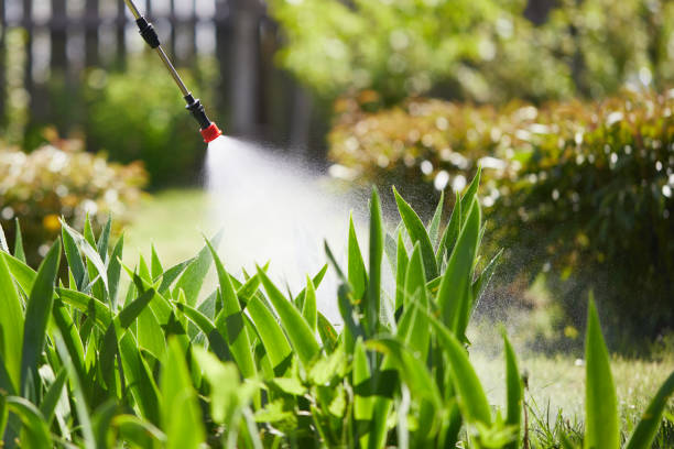 24/7 Emergency Mosquito Control experts in Spearville, KS